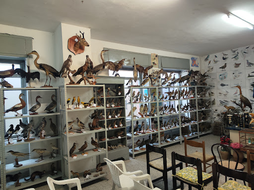 Studio Dentistico Dr. Antonio Porcelli