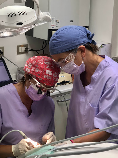 Studio Dentistico Il Vivaio