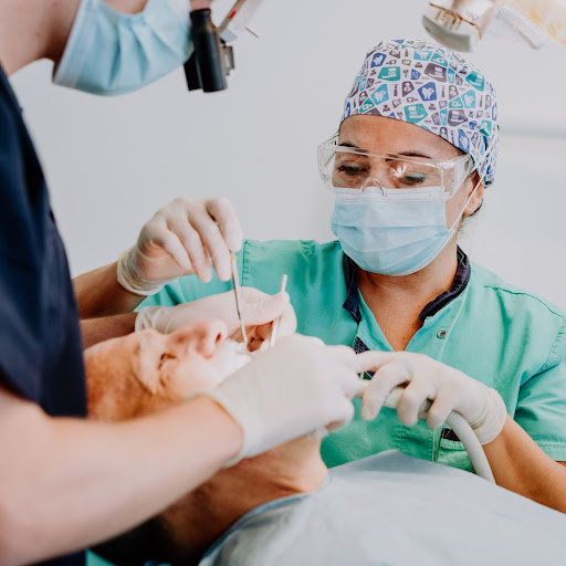 Studio Dentistico OralMedica Taranto logo