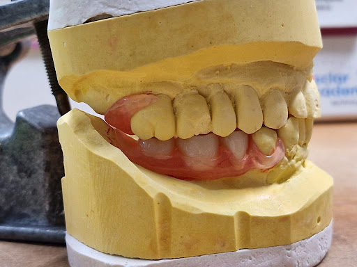 Studio Dentistico Protodent