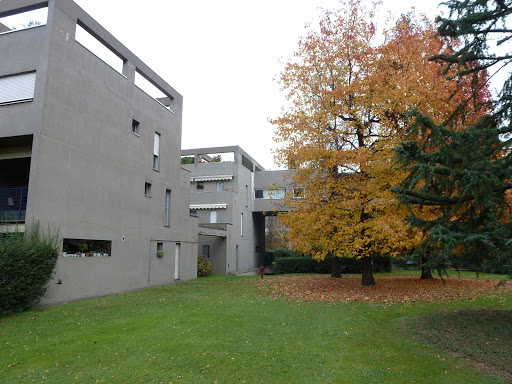 Studio Dentistico Dott. Giovanni Miticocchio