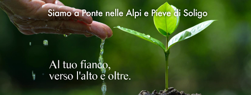 Studio Dentistico Dental Q - Ponte nelle Alpi logo